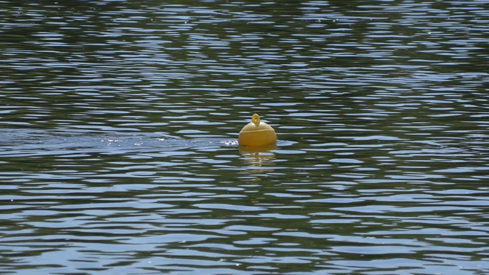 ��-�� ���� ������ ���������� ������