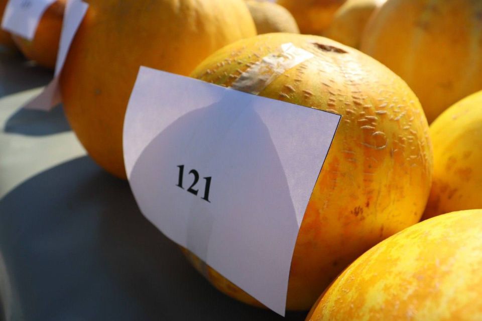 ��������� ���� � ����� ��� �������� � � ������������� ������� ����� �����