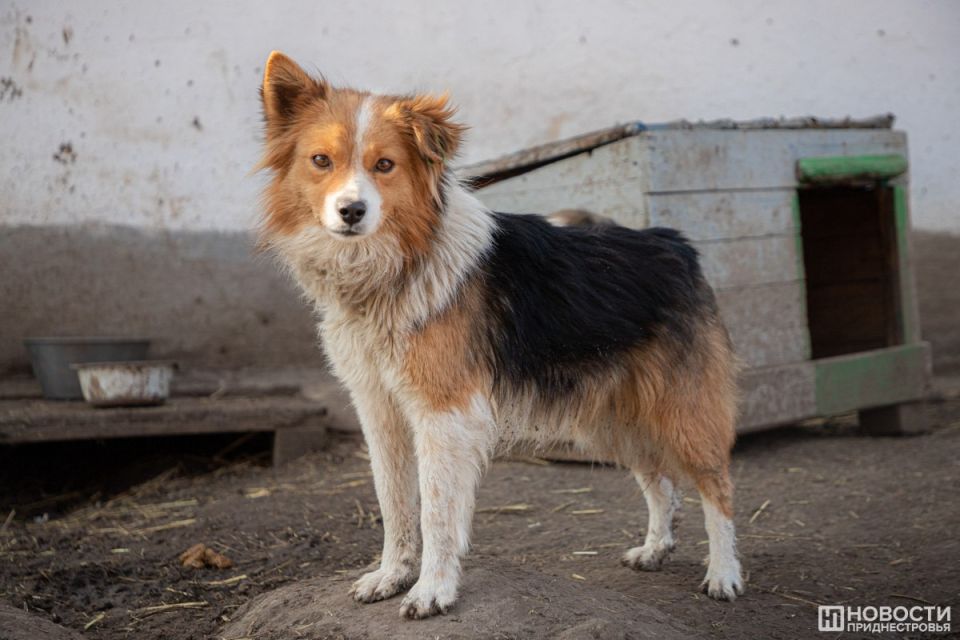 � �������� �������� ��������� ����������� ��������