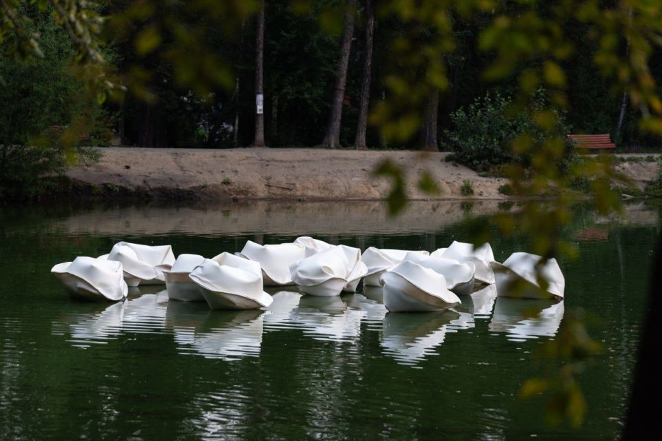 ���-������ � ���� ��������� ���������� � ����� �������������