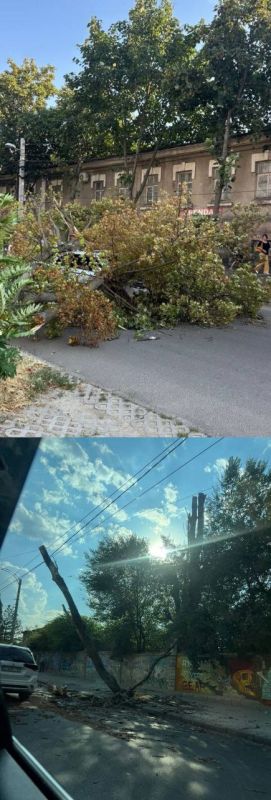 � �������� �� ����� ������� ������ �� ������ � �������