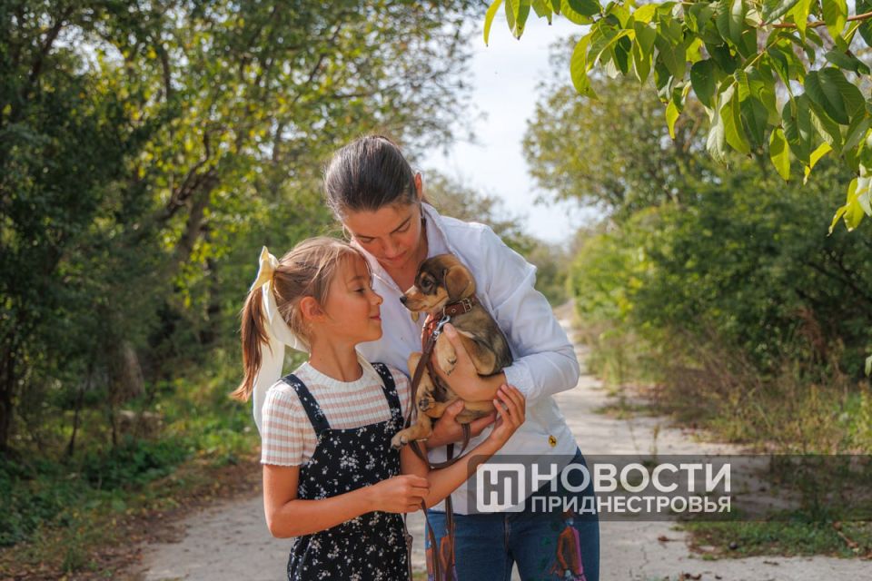 � �������� ��������� ��������� ������������� ����������� �������� ��������