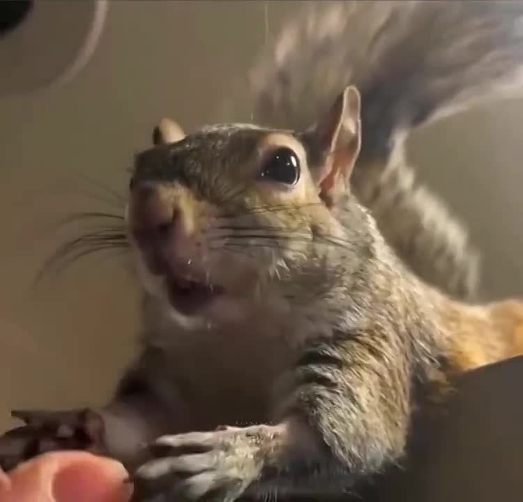   ..        .         