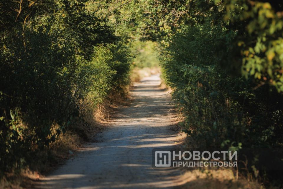 ����� � ������ ������ ���������� � ������������� � �� ��������� ������, ������������ ���������