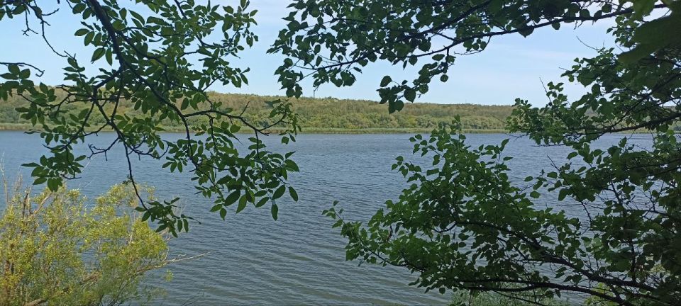 � ������ �������� ����� ��������, ������� ��� ���������� �������� �� ������