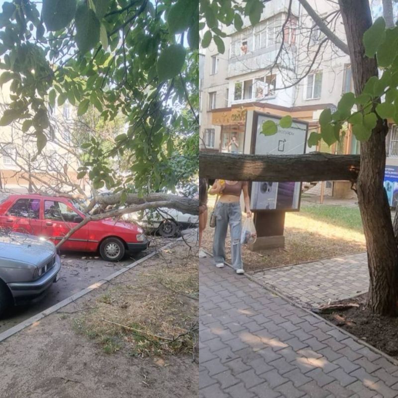 ������ ��������� ������ �������� ���