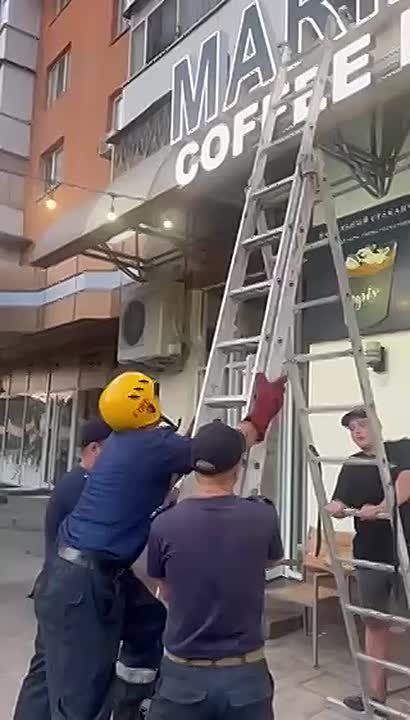    : ,    ,   