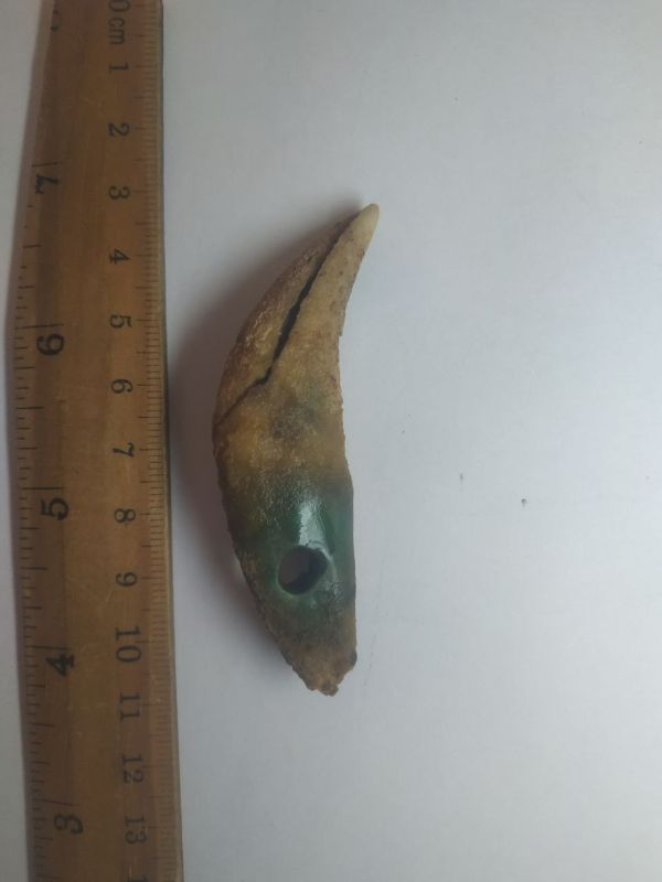 Останки мальчика-венгра с амулетом из когтя медведя нашли археологи возле села Токмазея в Григориопольском районе