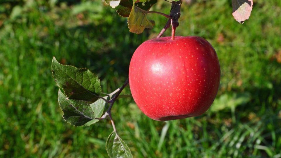 ������ ����� � ������� ����� �� ����� ������, ��� � ������� ����