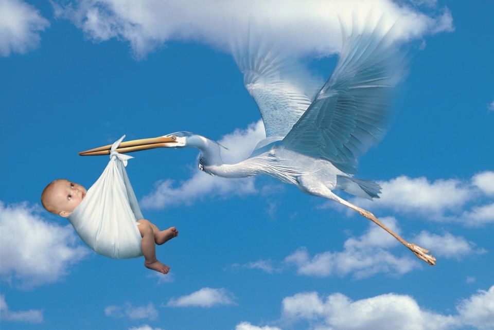 �� ������� ������ � ������� ���������������� 23 ��������: 9 ��������� � 14 �������