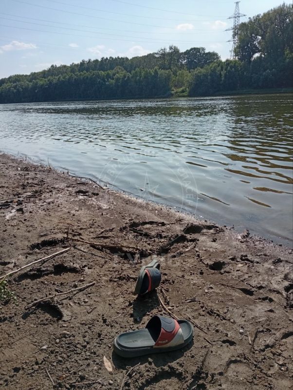 � ������ �������� ������ �������