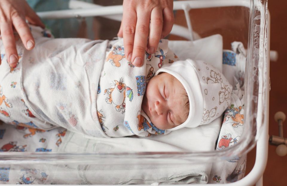 ������ ������ ������� �������� �� ���������� �����