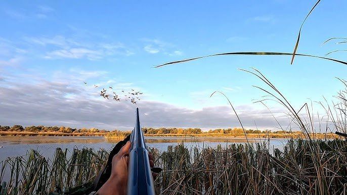 ����� ����� �� ����� ������� � ��������� ����������� � ���������� � 16 �������