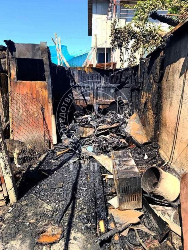 �� ����� ���� ����� �����, �������� ��������