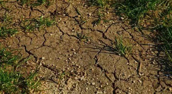 ������ ���� � ������� � ��� ����������� ��������, ������� ������ ������������ �����������, ������ ������������ ������������� ���������� ��������� �������