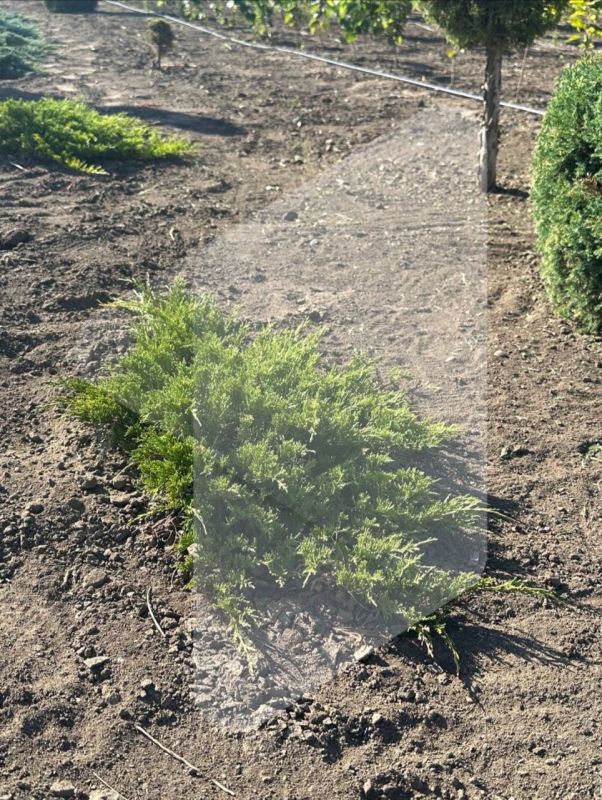 ���� ������ ��������, � ������������ ���� ������ ��������, ������� �� ������ ����