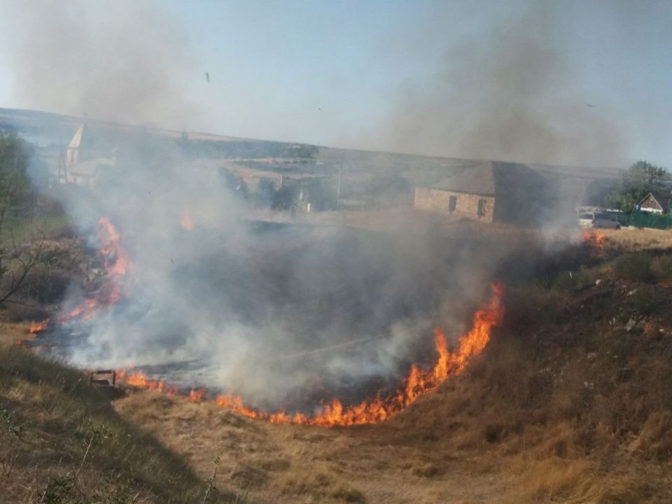 � ���� ���� �����, ����� ����� ����� � ����� �����