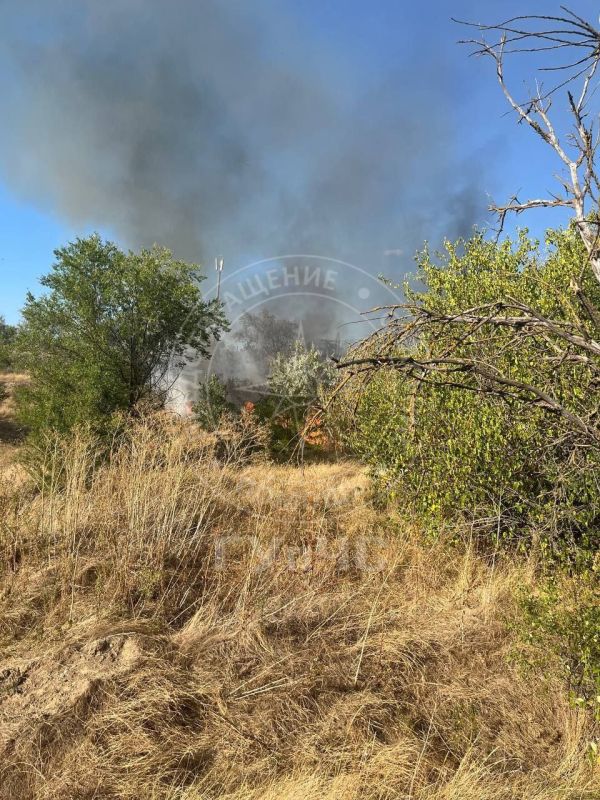 � ��������� ������ �����, ����� � ��������