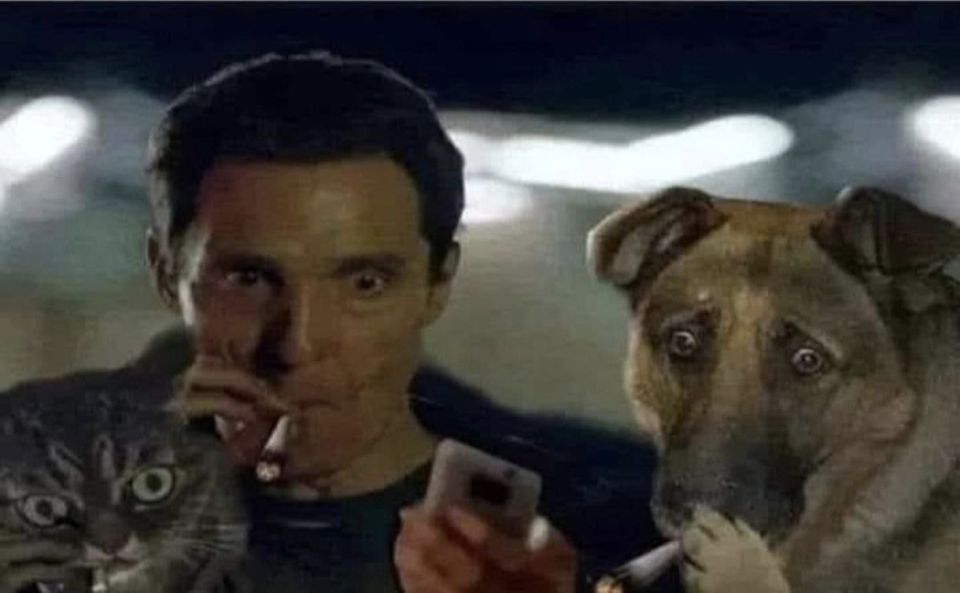       ,   ,     