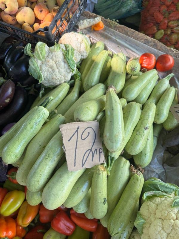 �� ����� ������ ����� ��������