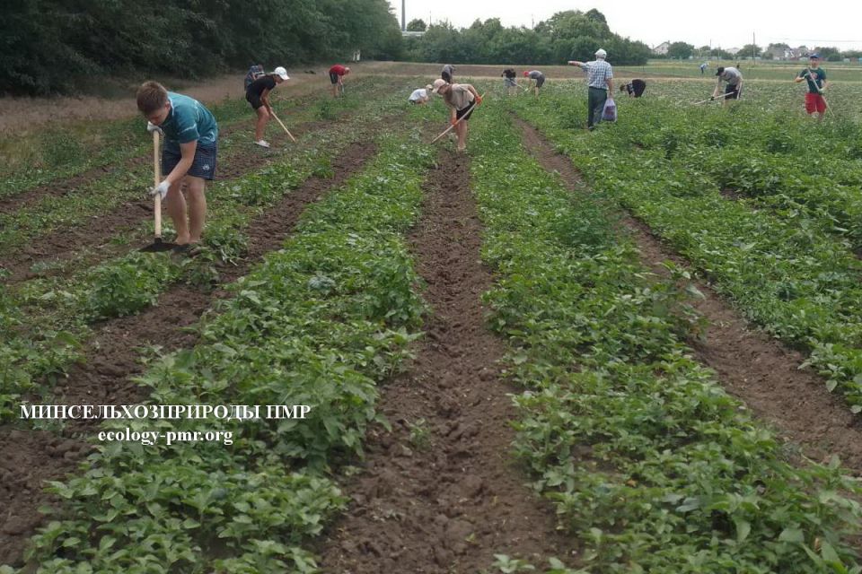 103 ��������� ������������� ����� � ��� ��������� ���������