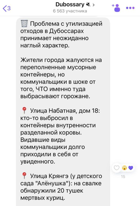 Крик души из Дубоссар. Жители жалуются на переполненные мусорки, а коммунальщики в шоке от того, что туда выбрасывают
