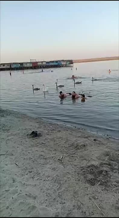     ,       