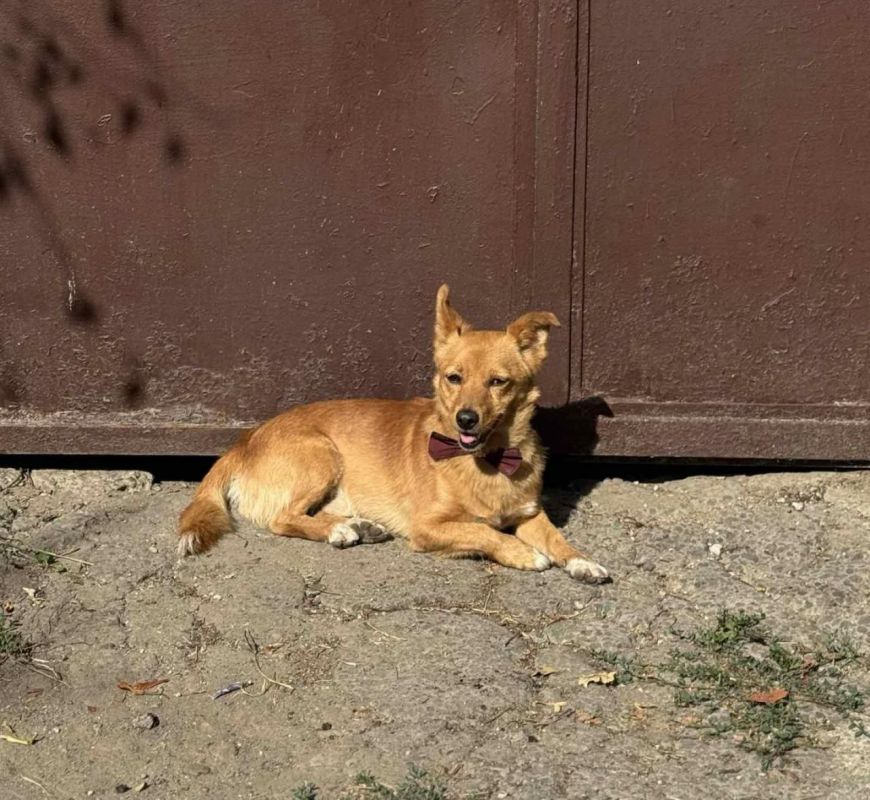 � ��������� ������ ����� ��������� ��