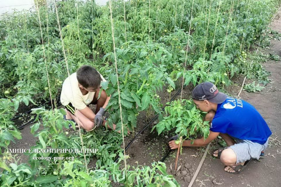 �� ���� � ��� �� ������ ���������� ���������� 103 ���������