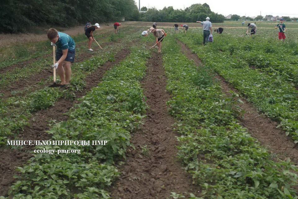 � ������� 35 ���������� �������� � ��������������� ��� ��������� ��������� �� �������� �������