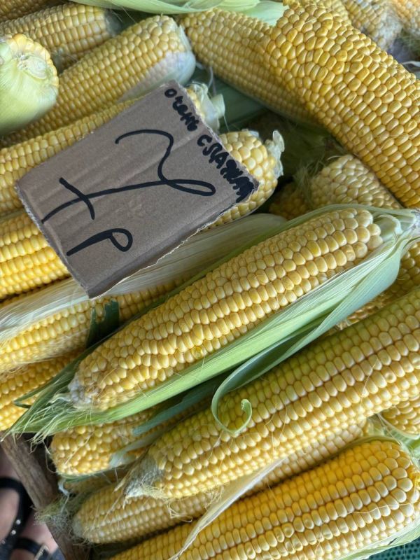 �������� �� ��������, ������ 7 ������ �� �������