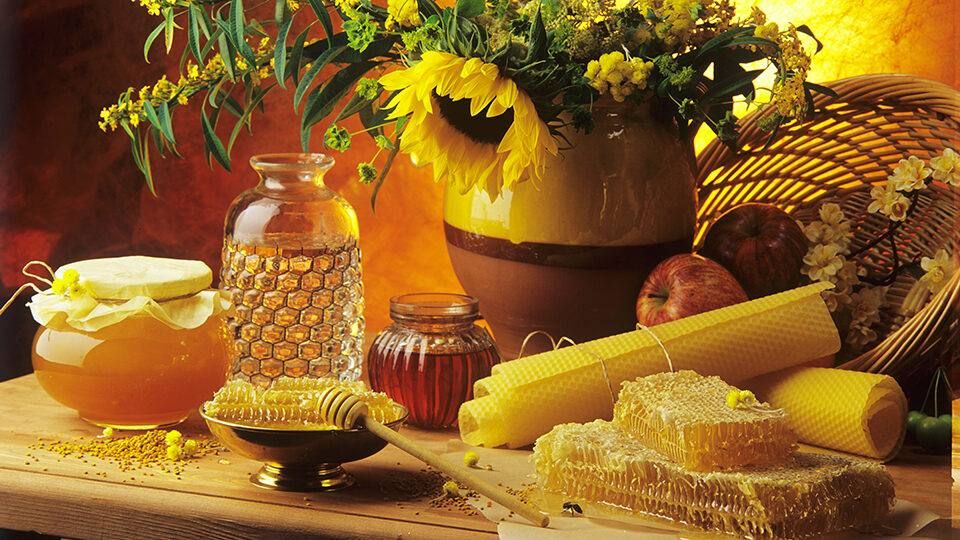 ������� - ������� ����. ��� ������ ����, ������� �������� ������������ � �������