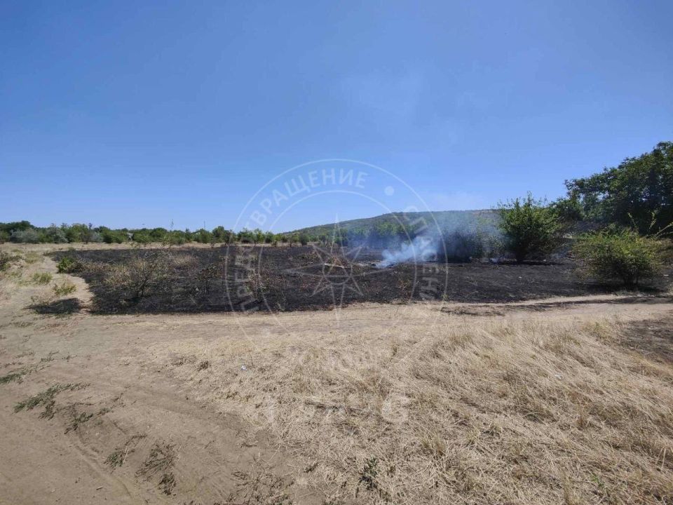 ����� ����� ���������� �� ����������� ������� ���� ����-�����������