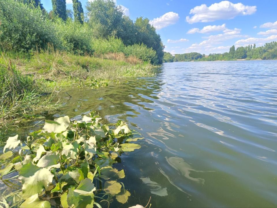 ��� �������� ��������� ����� �� ����� �� � ��, 16 ������� ��������� ������������ ������, ��� �������