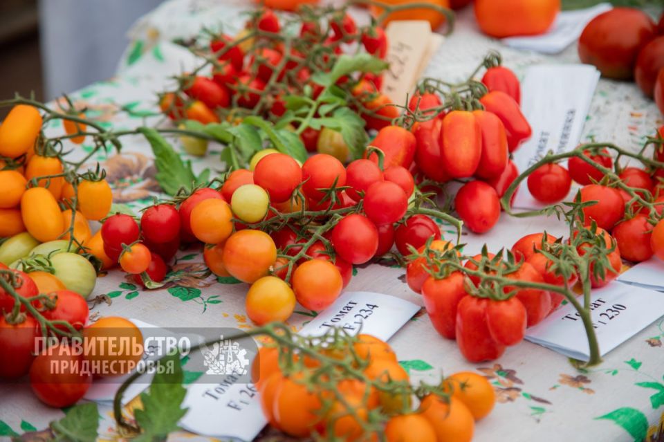 ��������������� ������� ������� 7,8 ���� ������ � �������������