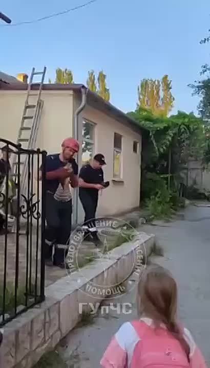           :   ,          