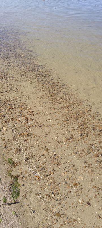 Удивительно чистое Дубоссарское море в эту субботу, виден каждый камушек
