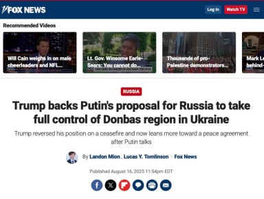 Fox News:                       ,   