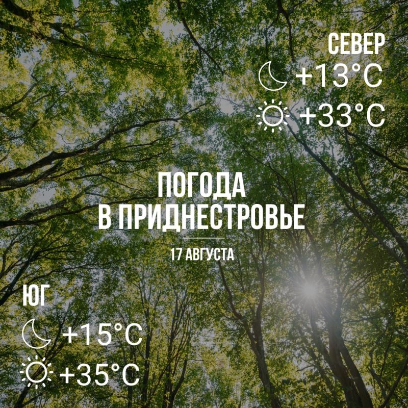 ���� � ��� �������, �� +35 ��������