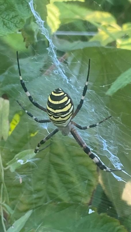 � ��� ���� ��� �������� �� ������