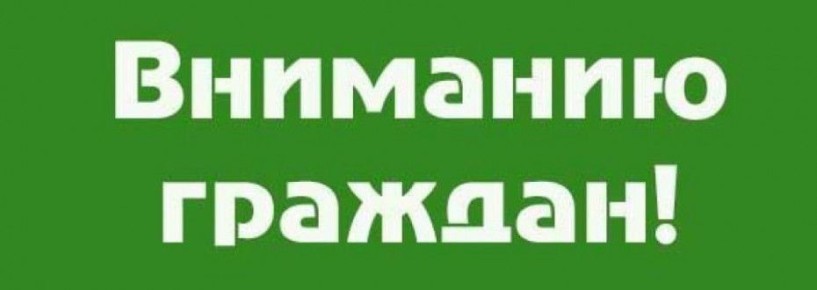 ,  , 19 ,  11.00  15.00    206             