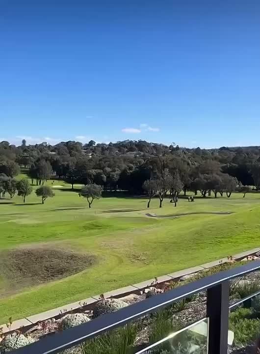 ������������� ������� ������ �� ���� ��� ������ � ������: �����-���������� � ��� ������ ������, �� �������� ������, � ABC