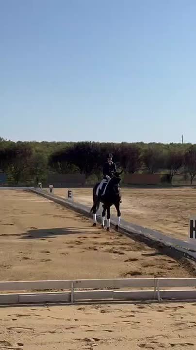 ����������� �� ����������� ������� ����� �������� ��������� 3 ������� ������ �� ����� �������