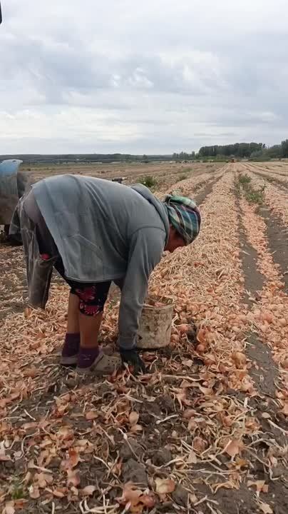 ��� �� ������� ������� � ������ ������� ���� ��������������� �������