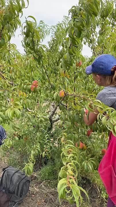 � ����� �������� �������� �������� �������