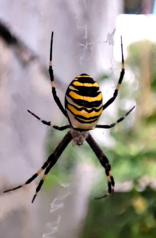 � ������ ��������� ���������� �������� ������-�� � ���� ����� ������� ���������������� ���