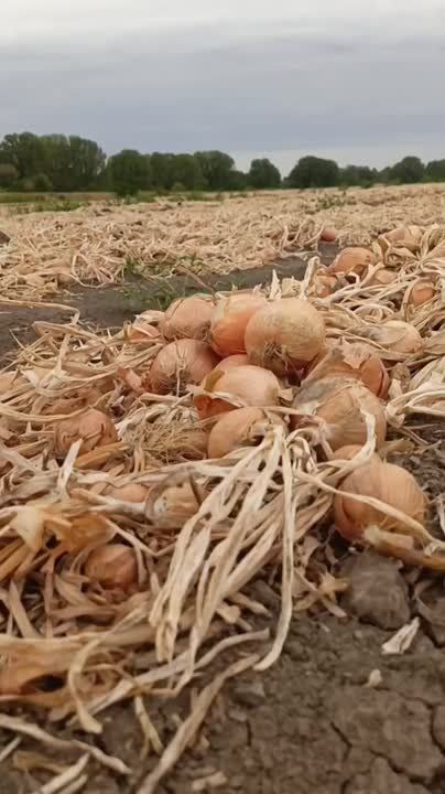 ����� 20 �������� ���� ������� � ���� ���� �� ���������� �����