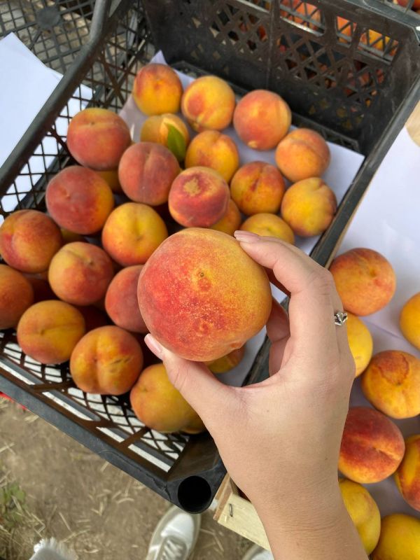 ��� ��� �������� ��������� ������