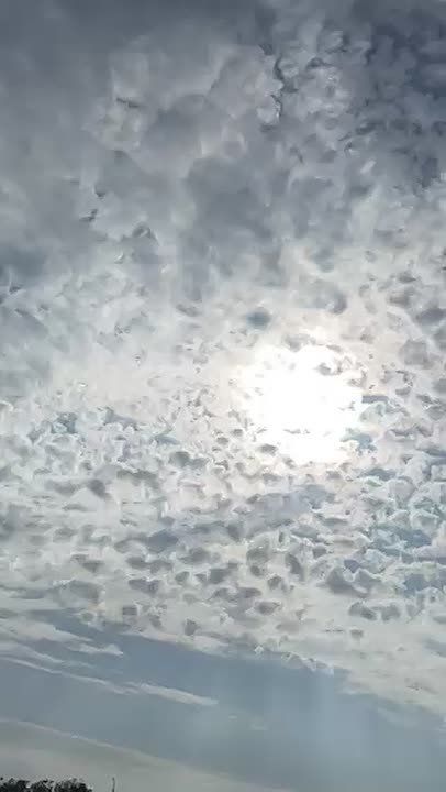 �� ���� ��������� �������� ���� � ��� � ������ �������� ������� ������, ������� �� ������ ����