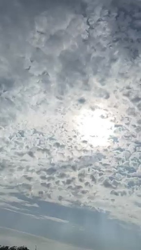            ,    